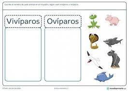 Fichas Para Imprimir Para Ninos De Primaria Animales Viviparos Reproduccion De Los Animales Ciencias Naturales