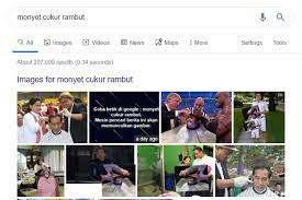 Berbagai media membagikan kejadian tersebut ke dalam media sosial, monyet pakai jas hujan viral di medsos telah di tonton hampir 50 ribu orang yang melihatnya. Ketik Monyet Cukur Rambut Di Google Muncul Gambar Jokowi Jangan Gusar Halaman All Kompas Com