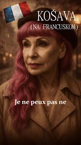 Košava: Francuski Cover popularne pesme