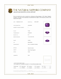 Purple Sapphire Identification Chart The Natural Sapphire