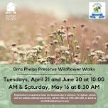 Orra Phelps Preserve Wildflower Walk