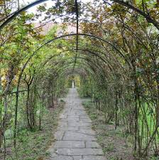 Munich Germany Munchen Deutschland Moosach Wohnsiedlung Borstei Rosenspalier Im Rosengarten Im Rosenhof Rosengarten Munchen Deutschland Garten