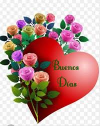 Pin En Frases