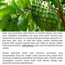 Anita berkata, antara november dan buah manggis dan durian belanda dipercayai mengandungi khasiat yang tinggi bukan sahaja dari isinya. Daun Durian Belanda Everything Else On Carousell