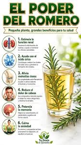 Remedios en Casa | 😱Este frasco se volvió famoso en muchas casas… pero hay  una parte que casi nadie menciona cuando hablan del alcohol de romero.  ⬇️Algunas... | Instagram