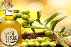 فوائد زيت الزيتون في التخسيس وفقدان الوزن Olive Oil Olive Fruit
