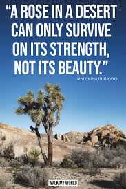 Once capable of producing vast amounts of terracotta bricks, the factory never realized its potential due to an issue with the will after the premature death of its owner william j. 40 Desert Quotes To Inspire You To Get Out Into The Wilds Walk My World
