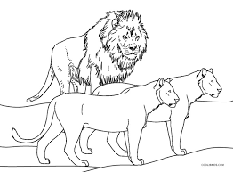 This also helps reduce bleed through onto the other designs even if you are using markers, making this book suitable for everything from coloring pencils through to marker pens. Free Printable Lion Coloring Pages For Kids