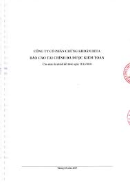 công ty cổ phần chứng khoán beta - báo cáo tài chính đã được kiểm ...