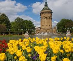 Essen Auf Radern In Mannheim