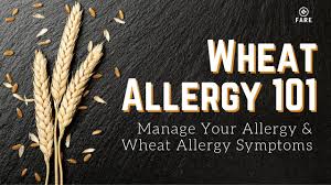 Wheat Food Allergy Research Education