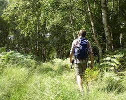 To do this, fold the tick into a piece of paper (or a leaf) and push the stone or glass over it with pressure. Best Tick Repellent Prevent Tick Bites And Lyme Disease