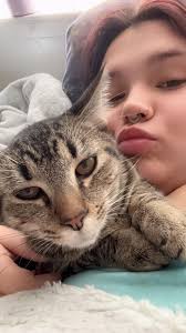 Hello! I am looking for recommendations for anyone who can do work