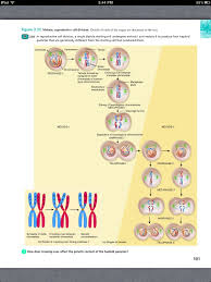 Principles Of Anatomy And Physiology Chapter 3 The Cellular Level Of Organization 39 Book Pg 101 Cell Division Anatomy And Physiology Dental School