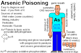 Arsenic Philidelphia Poison Ring