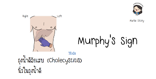 Maybe you would like to learn more about one of these? Nurse Story à¸à¸²à¸£à¸§ à¸™ à¸ˆà¸‰ à¸¢à¹‚à¸£à¸„à¸— à¸­à¸­à¸à¸ªà¸­à¸šà¸š à¸­à¸¢ 1 Murphy S Facebook