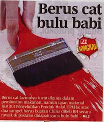 For more information and source, see on this link : Berus Cat Bulu Babi Universiti Putra Malaysia
