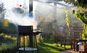 Streit Ums Grillfest Grillfest Grillen Fest