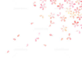 桜吹雪 イラスト素材 [ 2315735 ] - フォトライブラリー photolibrary
