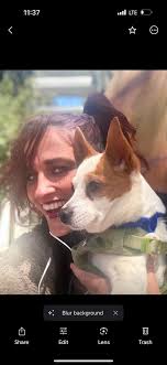 Roommates Lost my baby Doggie Help me.