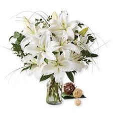 We did not find results for: Get Well Soon Gifts Gift Baskets Harry David