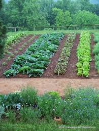 Mysecretgarden Colonial Gardens Part 4 2 Monticello Vegetable Garden Wide Ro Garten Garten Anpflanzen Bepflanzung