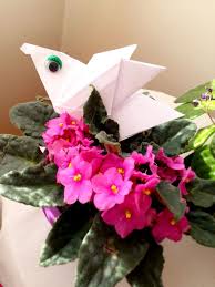 Origami Guvercin Origami