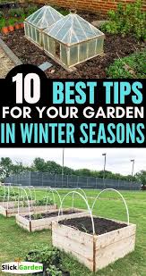 What To Do In Your Garden In Winter Season In 2020 Winter Garden Small Space Gardening Growing Vegetables