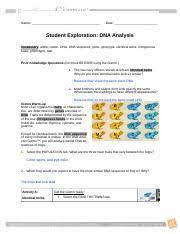 Analyses of samples from 728 women with uterine leiomyomas (uterine fibroids), and public data, show that somatic and germline mutations in the srcap. Student Exploration Dna Analysis Answer Key Docx Student Exploration Dna Analysis Answer Key Download Student Exploration Dna Analysis Vocabulary Course Hero