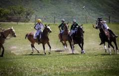 The Devereux Polo Cup