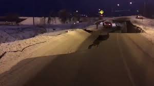 The earthquake was felt from homer to fairbanks, and was felt especially strongly in the anchorage and wasilla areas, the anchorage daily news reported. Alaska Earthquake Troopers Warn Of Unsafe Wasilla Road Tacoma News Tribune