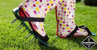 Aerating your lawn can often help you make sure that the grass is getting enough nutrients and can help protect your lawn from lawn aeration guide: Lawn Aeration Gardening Channel