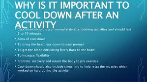 A cool down will involve stretches. Physio For Life Importance Of Cool Down Exercises After Work Out