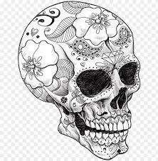 Free online coloring pages for adults in pdf and png printable images. Adult Coloring Pages Skull Png Image With Transparent Background Toppng