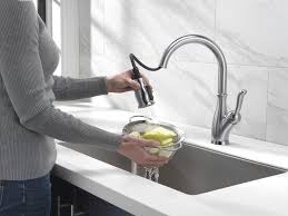 Maybe you would like to learn more about one of these? Delta Leland One Handle Pull Down Kitchen Faucet At Menards