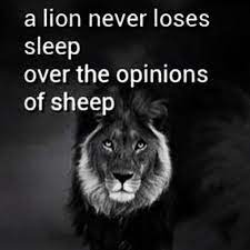Think about what undiscovered talents and abilities could be laying dormant within you…? Lions Vs Sheep Lion Quotes Quotes About Strength Words