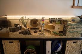 Ikea Hack Detlof Hamster Cage Dwarf Hamster Cages Hamster Cages Hamster Cage