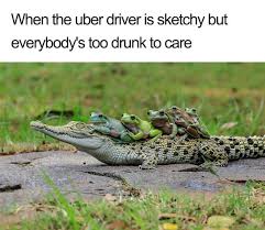 Animals Using Uber Animal Memes Funny Pictures Bones Funny
