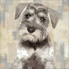Jun 13, 2021 · the san francisco giants legend and his sister cheryl dugan entered his miniature schnauzer named rocky in the westminster kennel club dog show over the weekend. 278257 Aaron Rodgers Green Bay Packers Nfl Player Poster Print Wall De Eur 13 95 Picclick De