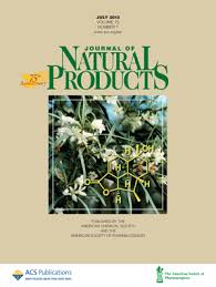 Image result for Pentas bussei