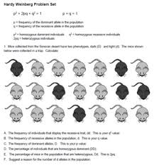 P2+2pq+q2 = 1, where 'p' and 'q' represent the frequencies of alleles. Hardy Weinberg Worksheets Teaching Resources Tpt