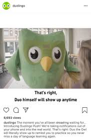 Ignore at your own risk. Bridgeotto Coming Soon The Duolingo Owl Will Break Into Your