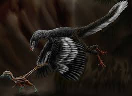 Book your tickets to the special premiere. Archaeopteryx Dinopedia Fandom