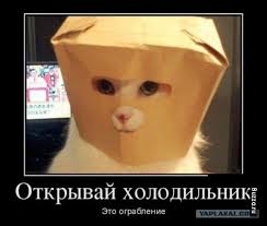 приколы с животными смотреть онлайн бесплатно в хорошем качестве Skachat Smeshnye Kartinki Kotov Smeshno Smeshnye Karikatury Shutki