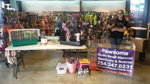 Connie is a australian shepherd rescue dog for adoption in chesnee, south carolina. Pawsome Rescue Pawsomerescue Twitter