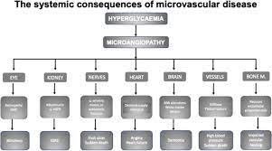 Natural history of type 2 diabetes. Microvascular Complications In Diabetes A Growing Concern For Cardiologists International Journal Of Cardiology