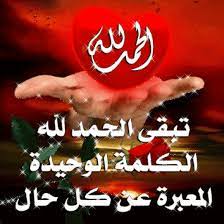 الحمد لله الكلمة المعبرة عن كل الأحوال Islamic Pictures Neon Signs Peace Lily