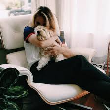 Check spelling or type a new query. Animal Requiem Celebrate Your Lost Pets