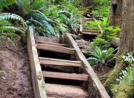 Camping reservations only need to be made for one site, kalaloch campground, while all other campgrounds are first come, first serve. Exploring Olympic National Park And The Hoh Rain Forest A Visitor S Guide Planetware