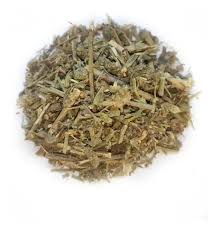 VERBENA XKG